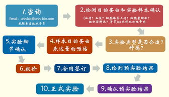 優寧維公司重磅推出抗體相關實驗技術服務體系，助力科研精準高效